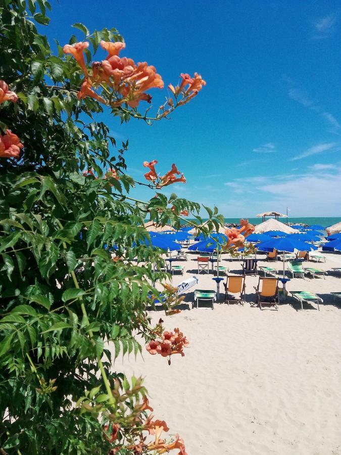 Appartamento Alba Rosa Francavilla al Mare Kültér fotó